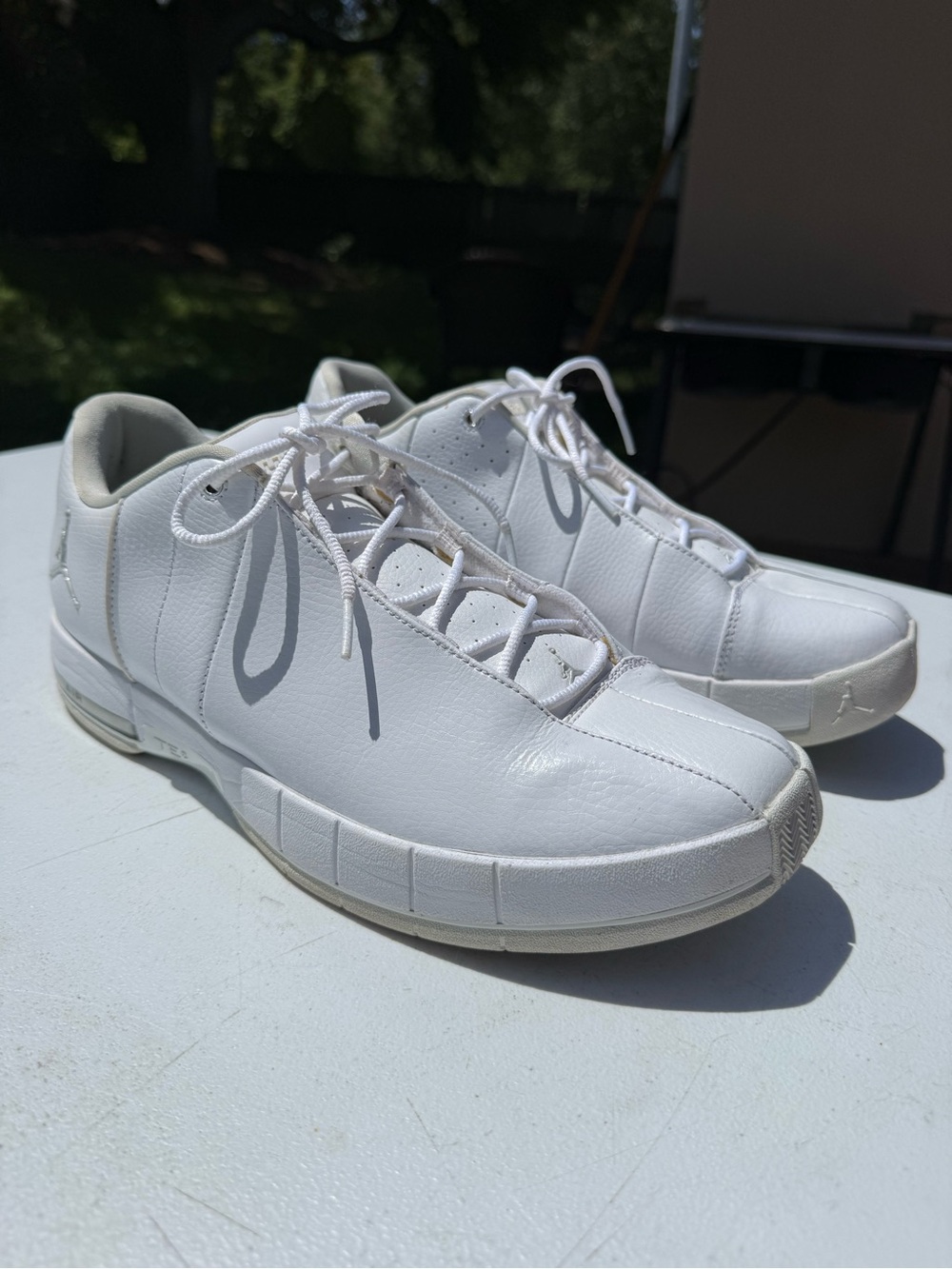 Air Jordan TE 2 Low 'White Pure Platinum' RARE